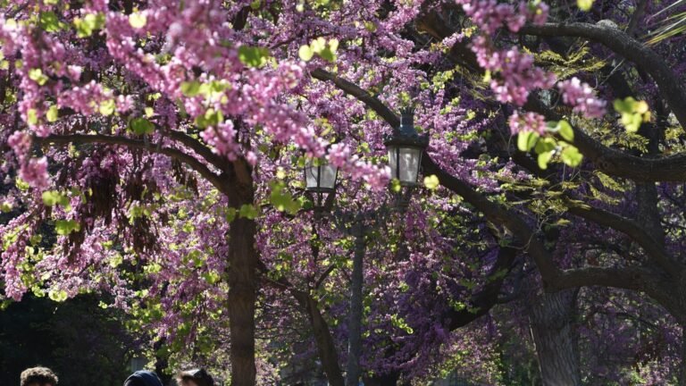 Het weer in Barcelona in april